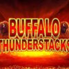 Buffalo Thunderstacks