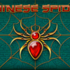 Chinese Spider