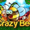 Crazy Bee