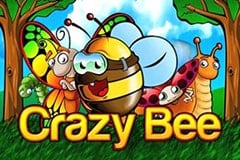 Crazy Bee