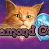 Diamond Cats