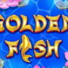 Golden Fish