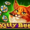 Kitty Bet