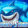 Lucky Shark
