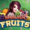 Sakura Fruits