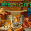 Super Cats