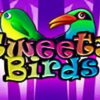 Tweety Birds