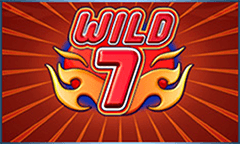 Wild 7