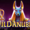Wild Anubis