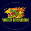 Wild Dragon