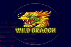 Wild Dragon