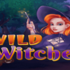 Wild Witches