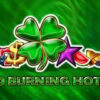 40 Burning Hot 6 reels