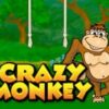 Crazy Monkey