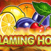 Flaming Hot