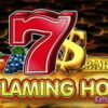 Flaming Hot Extreme