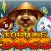 Fortune Dogs