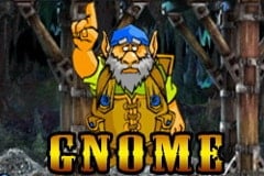 Gnome