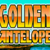 Golden Antelope