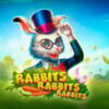 Rabbits Rabbits Rabbits