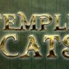 Temple Cats