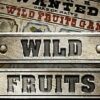Wild Fruits