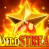 Wild Streak