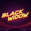 Black Widow Slot Machine Review