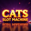 Cats Slot Machine Review