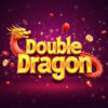 Double Dragon Slot Machine Review