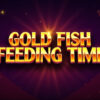 Gold Fish Feeding Time Slot Machine Review