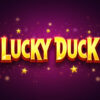 Lucky Duck Slot Machine Review