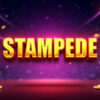 Stampede Slot Machine Review