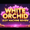 White Orchid Slot Machine Review