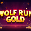 Wolf Run Gold Slot Machine Review